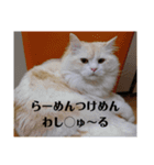 ラガマフィンのさすけ その3（個別スタンプ：8）
