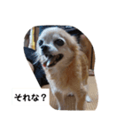 俺スタンプ  5（？編）（個別スタンプ：3）