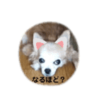 俺スタンプ  5（？編）（個別スタンプ：4）
