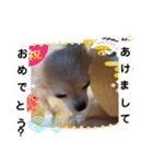 俺スタンプ  5（？編）（個別スタンプ：5）