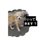 俺スタンプ  5（？編）（個別スタンプ：6）
