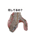 俺スタンプ  5（？編）（個別スタンプ：13）