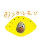 ぴよぽよさん5'（個別スタンプ：4）