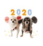 ポメラニアンのくーちゃん2（個別スタンプ：23）