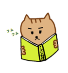 すけにゃん 日常編バージョン①（個別スタンプ：15）