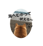 みあしば（個別スタンプ：8）