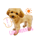 毎日使える！めいの日常♡（個別スタンプ：1）