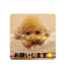 毎日使える！めいの日常♡（個別スタンプ：4）