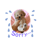 毎日使える！めいの日常♡（個別スタンプ：5）