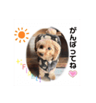 毎日使える！めいの日常♡（個別スタンプ：7）