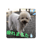 毎日使える！めいの日常♡（個別スタンプ：9）