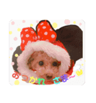 毎日使える！めいの日常♡（個別スタンプ：10）