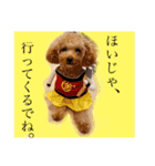 毎日使える！めいの日常♡（個別スタンプ：16）