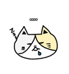 ［10文字］猫のフルカスタムスタンプ（個別スタンプ：6）