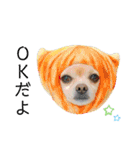 ミックス犬、小太郎のスタンプ 3（個別スタンプ：7）