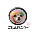 ミックス犬、小太郎のスタンプ 3（個別スタンプ：15）