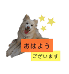 うちのぽぽ2（個別スタンプ：9）