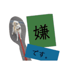 うちのぽぽ2（個別スタンプ：18）