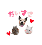 ラッセルたらちゃんいくらちゃん！（個別スタンプ：14）