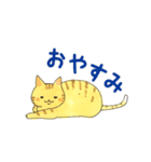 まいにちのとらねこ（個別スタンプ：2）