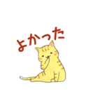 まいにちのとらねこ（個別スタンプ：10）