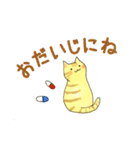 まいにちのとらねこ（個別スタンプ：17）