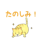 まいにちのとらねこ（個別スタンプ：23）