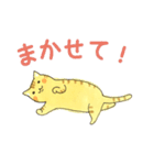 まいにちのとらねこ（個別スタンプ：24）