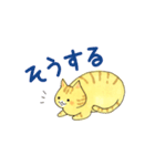 まいにちのとらねこ（個別スタンプ：25）