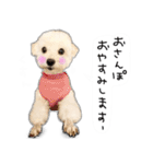 わんことさんぽ（個別スタンプ：10）