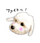 わんことさんぽ（個別スタンプ：18）