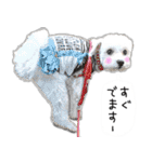 わんことさんぽ（個別スタンプ：24）