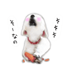 わんことさんぽ（個別スタンプ：27）