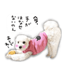 わんことさんぽ（個別スタンプ：28）