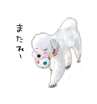 わんことさんぽ（個別スタンプ：34）