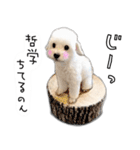 わんことさんぽ（個別スタンプ：38）