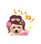ビション わらび（個別スタンプ：10）
