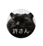 もみじスタンプ(光)（個別スタンプ：1）