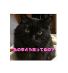もみじスタンプ(光)（個別スタンプ：2）