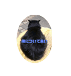 もみじスタンプ(光)（個別スタンプ：3）