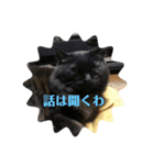 もみじスタンプ(光)（個別スタンプ：4）