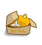 キモ猫 FX（個別スタンプ：13）