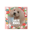 ❤️୨୧MerryX'mas ୨୧❤️（個別スタンプ：7）