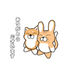 ポコねことポコいぬ（個別スタンプ：20）