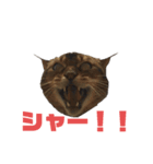 ゆうじろうの…（個別スタンプ：2）