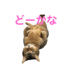 ゆうじろうの…（個別スタンプ：3）