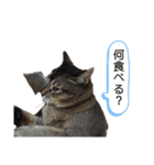 ゆうじろうの…（個別スタンプ：6）
