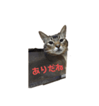 ゆうじろうの…（個別スタンプ：9）