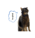 ゆうじろうの…（個別スタンプ：16）