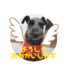 黒シュナ ゴンちゃんスタンプ（個別スタンプ：20）